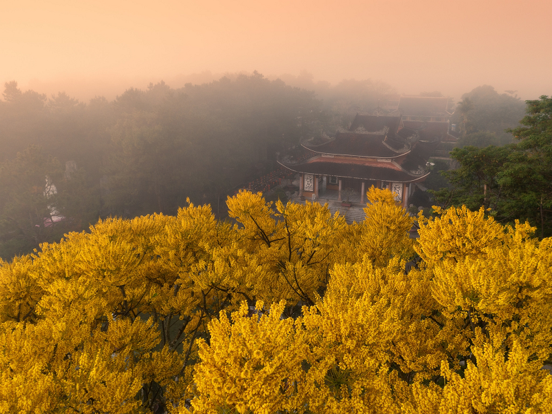 Tu viện Bát Nhã Tu viện Bát Nhã