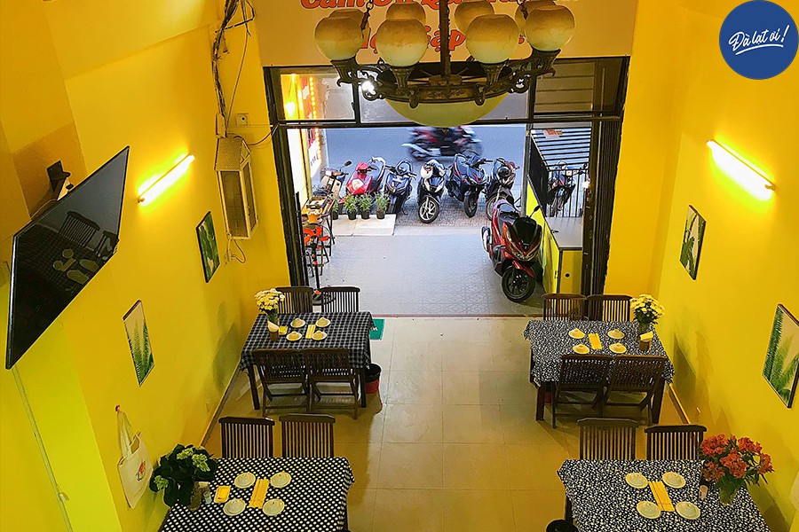 Bò Lạc Lối Đà Lạt