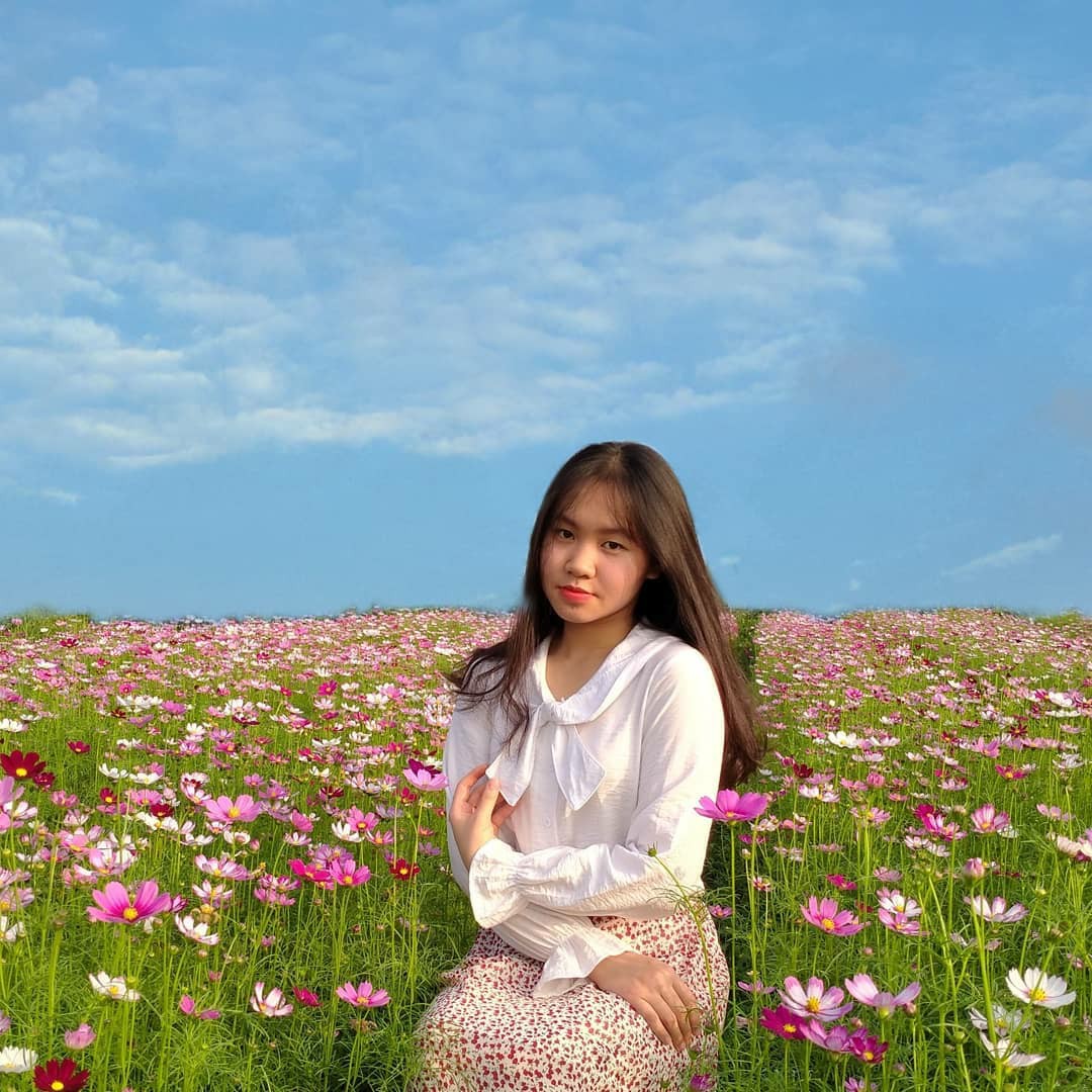 cánh đồng hoa bướm