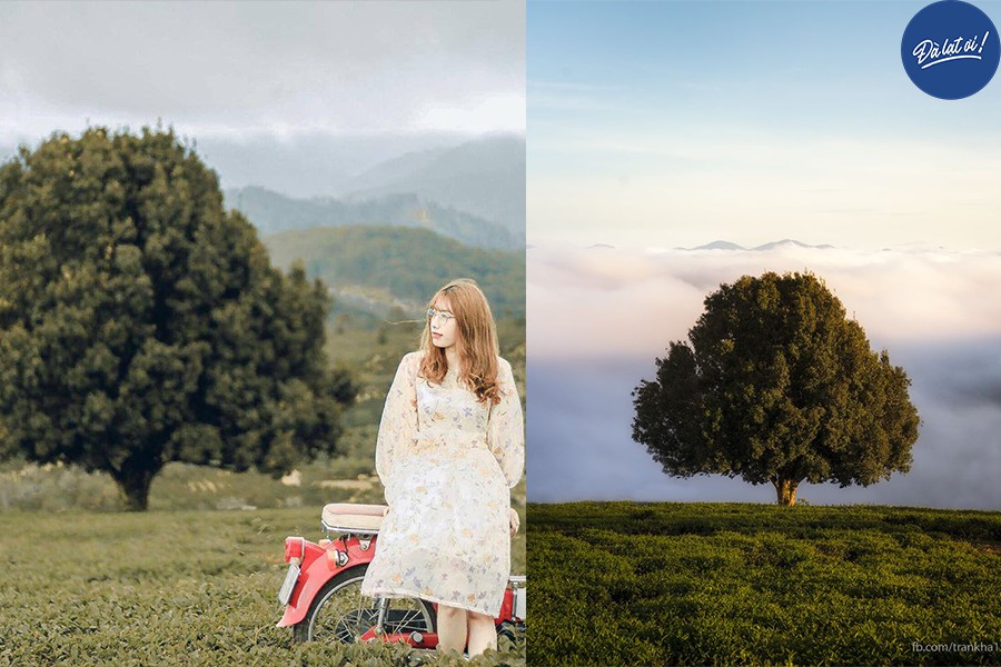 Đường đi khá dễ di chuyển
