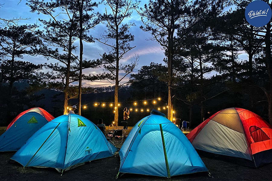 Cắm trại trên đồi khi Đà Lạt về đêm