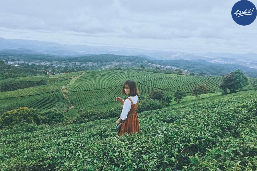 Địa điểm du lịch Đà Lạt mà ai đi cũng mê