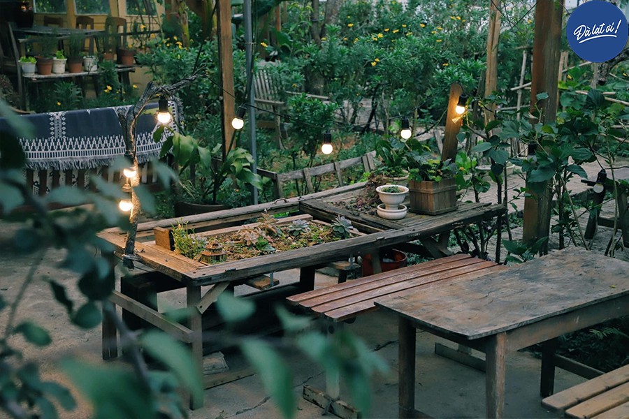 Tiệm bò rất chill