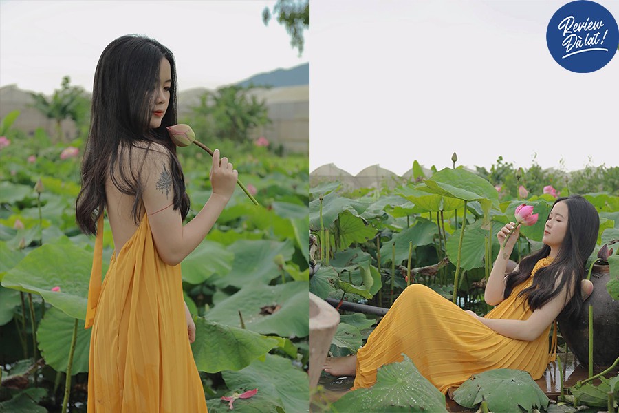 Hồ Sen tọa lạc tương đối xa Đà Lạt