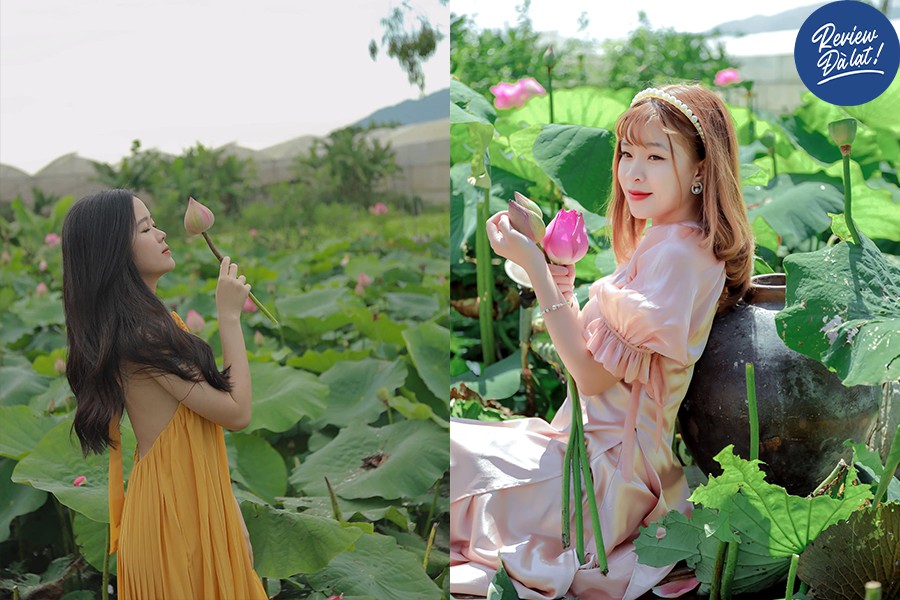 Background sống ảo xịn sò