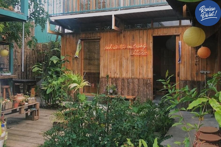 Khuôn viên tràn ngập cây xanh