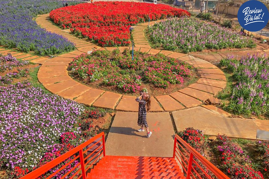 Khu trồng hoa siêu rộng rãi, thoáng đãng