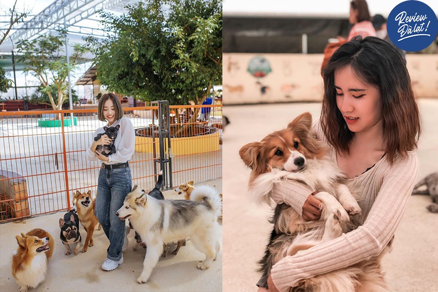 Nông trại thú cưng