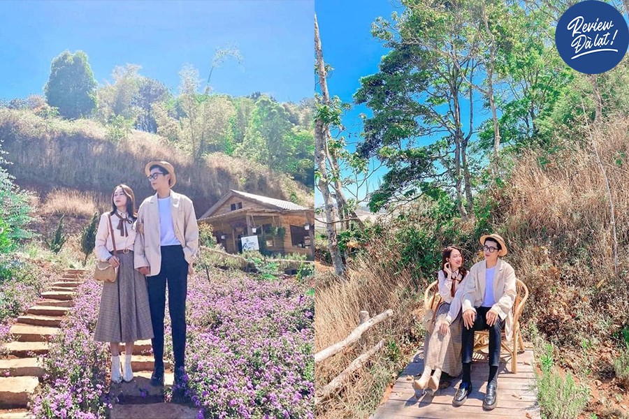 Quán cà phê ngập tràn hoa Oải hương
