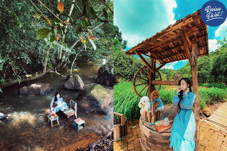 Không gian trong lành, nhiều góc sống ảo