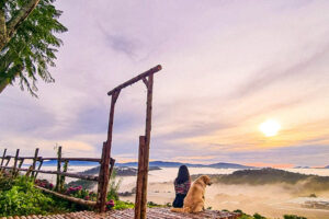 Xuất hiện đồi mây Đà Lạt mới toanh, view ngắm đồi chè và điện gió Cầu Đất tuyệt đẹp