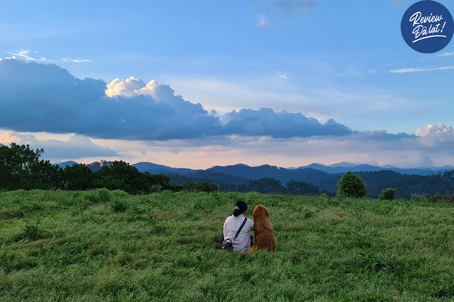View ôm trọn ngọn đồi Túy Sơn