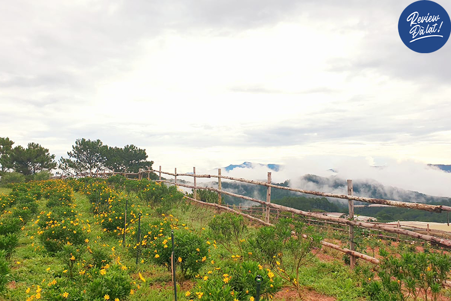 Khung cảnh lãng mạn