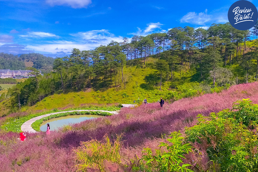 View hồ giữa cánh đồng cỏ siêu nổi bật
