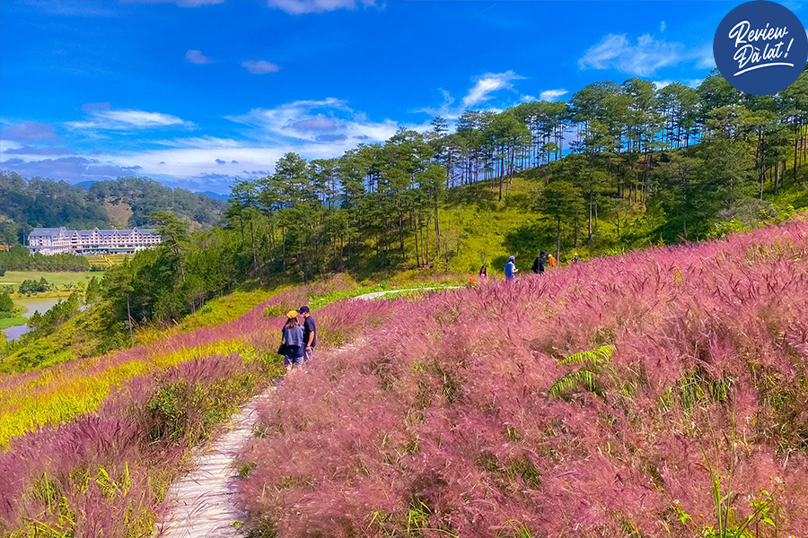 Cánh đồng cỏ chỉ mất 10 phút di chuyển từ trung tâm