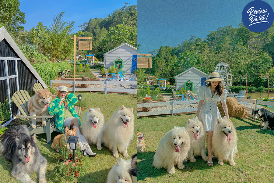 Green Farm Đà Lạt