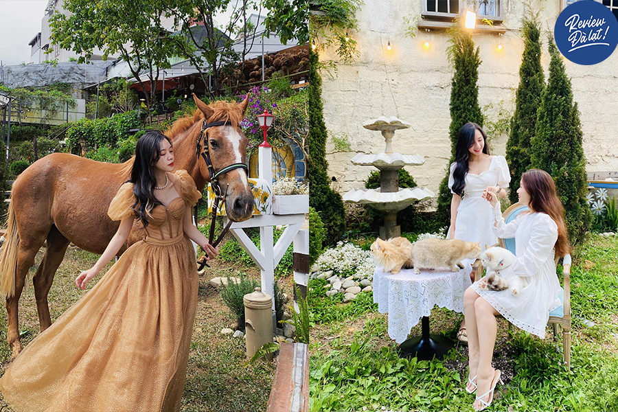 Tuca Garden Đà Lạt