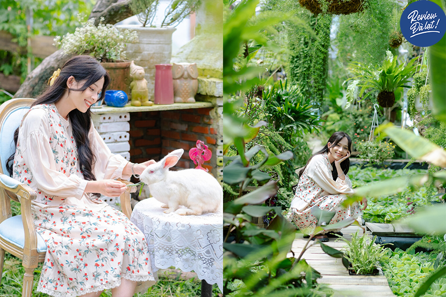 Tuca Garden Đà Lạt