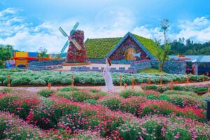 Top 10 vườn hoa Đà Lạt đẹp nhất phù hợp cho hội mê sống ảo